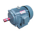 AC Synchronous Motor