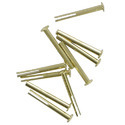 Bifurcated Rivet
