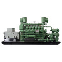Biomass Generator