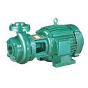 Bore Well Motor