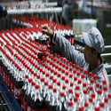 Bottling Plants Installation