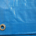 Canvas Sheet