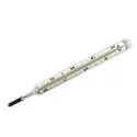 Clinical Mercury Thermometer