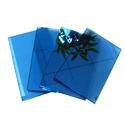 Coated Glass