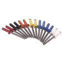 Colored Rivet