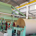 Craft Paper Plant 