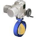 Electric Rotary Actuators