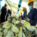 Electronic Waste Recycling Services