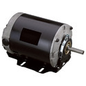 Fan Motors