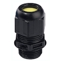Flameproof Cable Gland