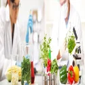 Food testing services