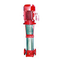 Jockey Pump