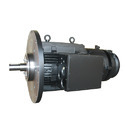Low Voltage Motors