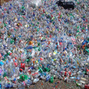 Pet Bottle Scraps