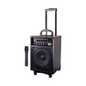 Portable Public Address System