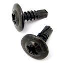 Rail Screws