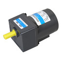 Reversible Motors