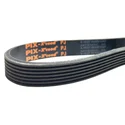 Ribbed Belt