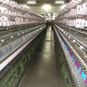 Ring Doubling Frame Machine
