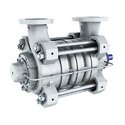 Ring Section Pumps