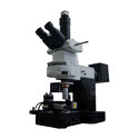 Scanning Probe Microscope