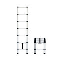 Telescopic Ladder