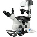 Tissue Culture Microscope