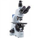 Trinocular Microscope