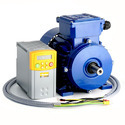 Variable Speed Motor