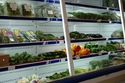 Vegetable Cooler