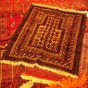  Carpets