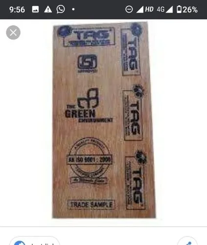 Plywood Door
