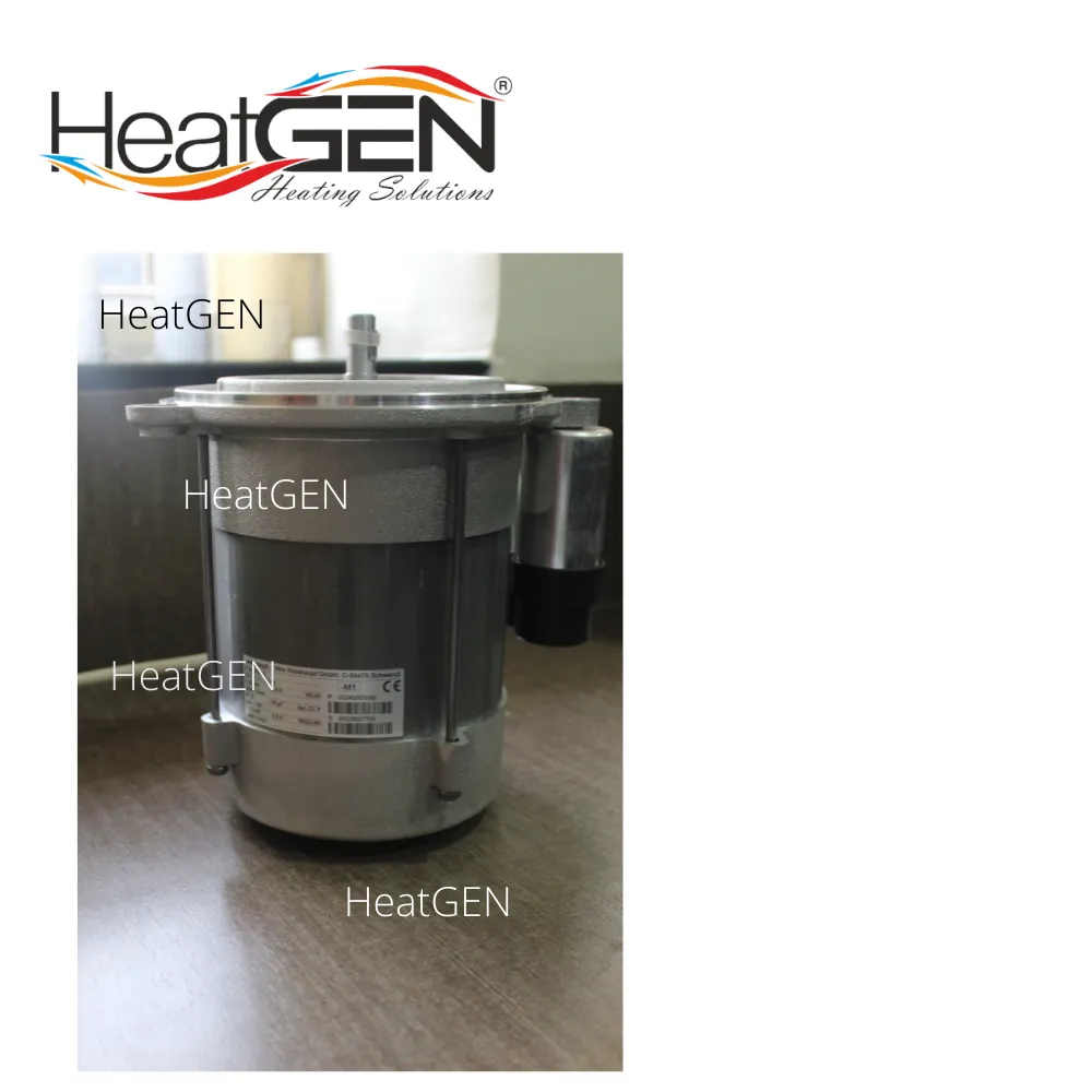 250 W ECK Motor