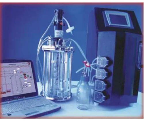 Bioreactor
