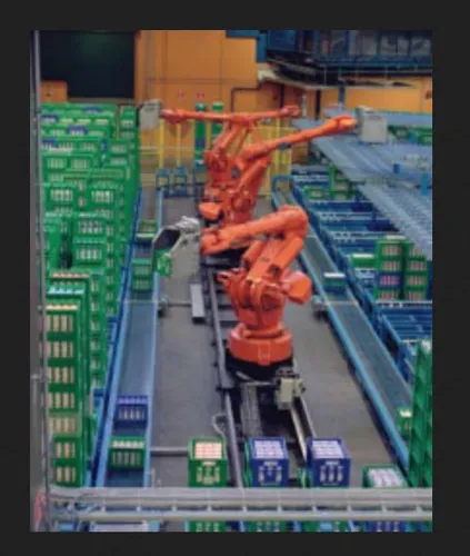 Flexible Automation Systems