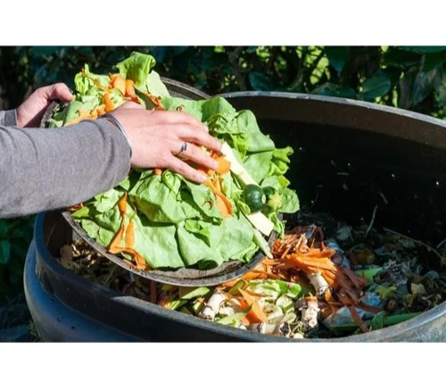 Food Waste Mana