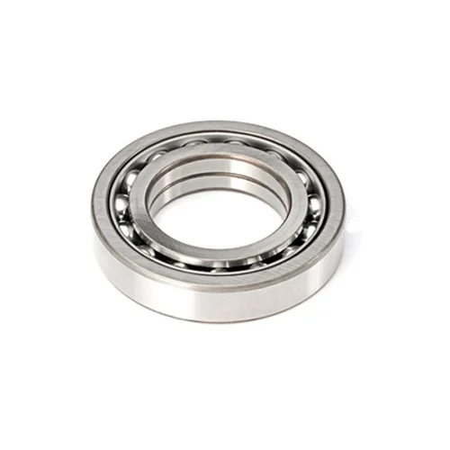 Four Point Contact Bearing