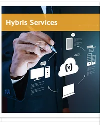 Hybris Services