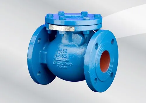 Medium Pressure Cast Iron Check Valve Size 25mm Flange End