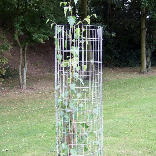 Mild Steel Tree