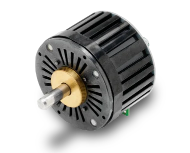 P430 In Disc Magnet Motors