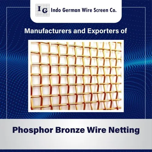 Phosphor Bronze