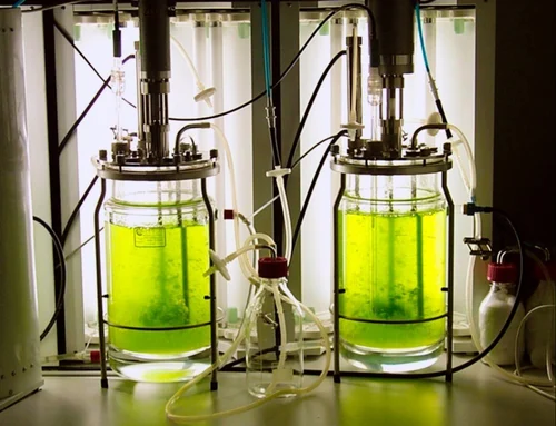Photobioreactor