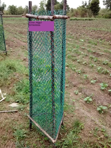 Plastic Tree Guard