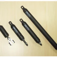 Pravi Black Aut