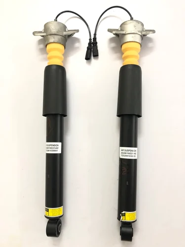 Rear Volkswagen Car Shock Absorber