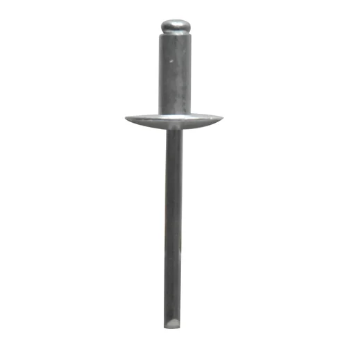 Silver Stainless Steel Rivet