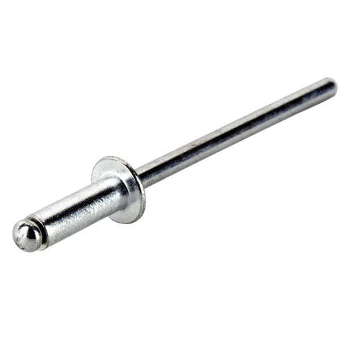 Silver Stainless Steel Rivets