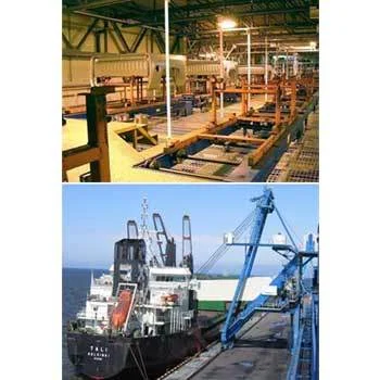 Skid Conveyors And Ship Loaders
