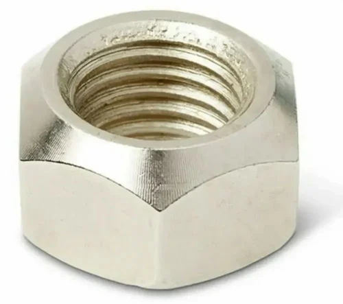 Stainless Steel Taper Nut